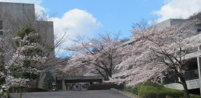 中野八王子高等学校