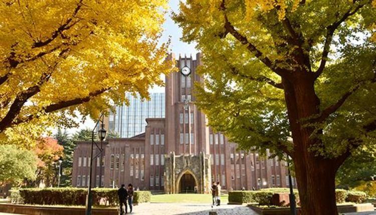 東京大学